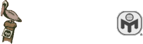 Tampa Bay Mensa Logo